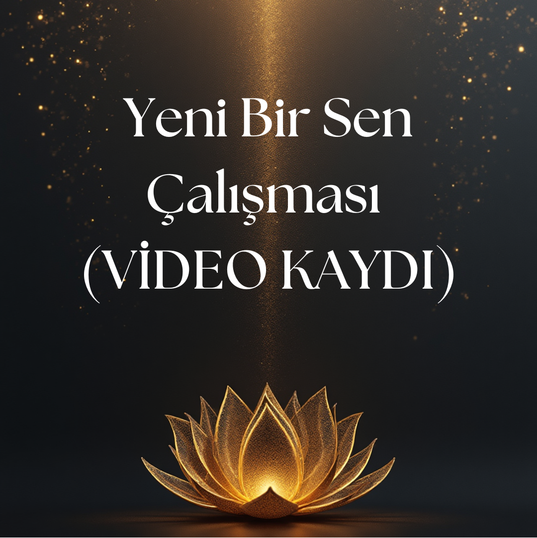 Yeni Bir Sen Çalışması -VİDEO KAYDI
