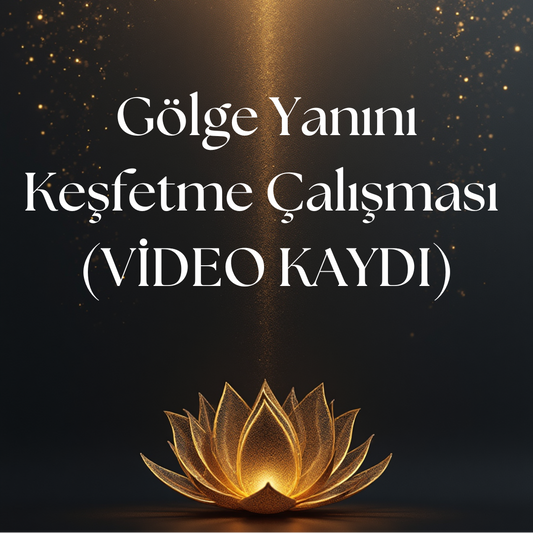 Gölge Çalışması-VİDEO KAYDI
