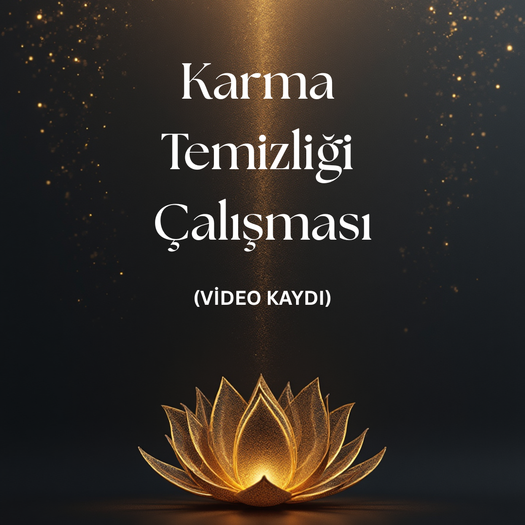 Karma Temizliği Çalışması- VİDEO KAYDI