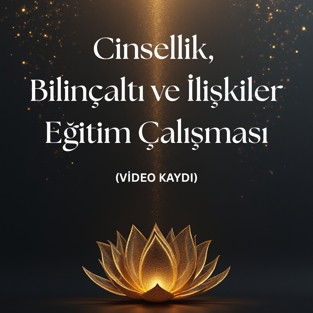 Cinsellik, Bilinçaltı ve İlişkiler Eğitim Çalışması - VİDEO KAYDI