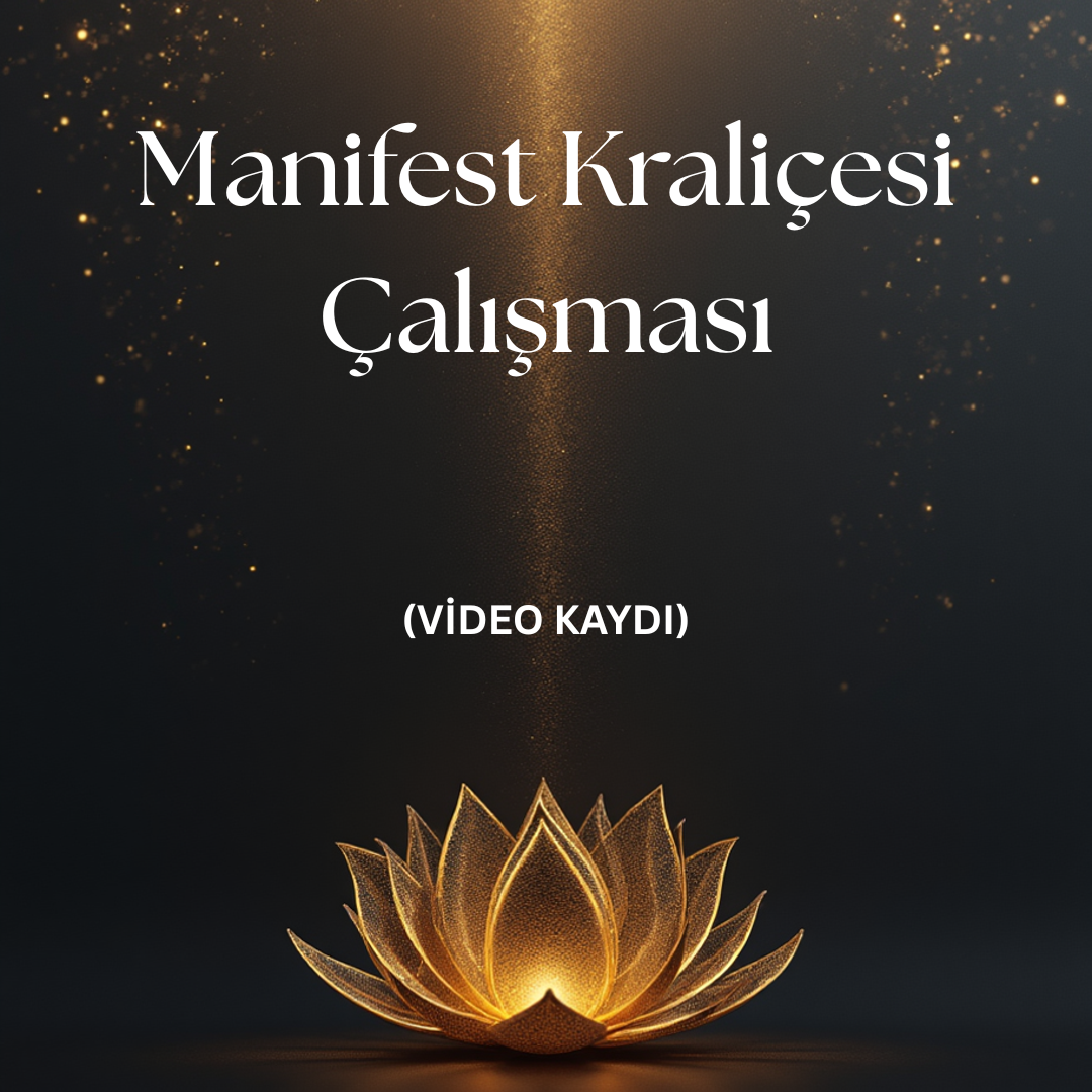 Manifest Kraliçesi Çalışması- VİDEO KAYDI